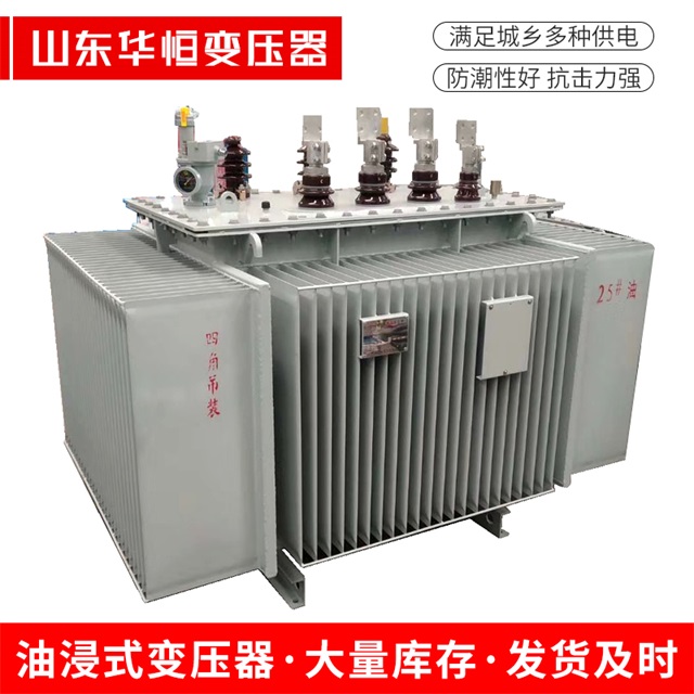 S13-10000/35沙市沙市沙市电力变压器厂家