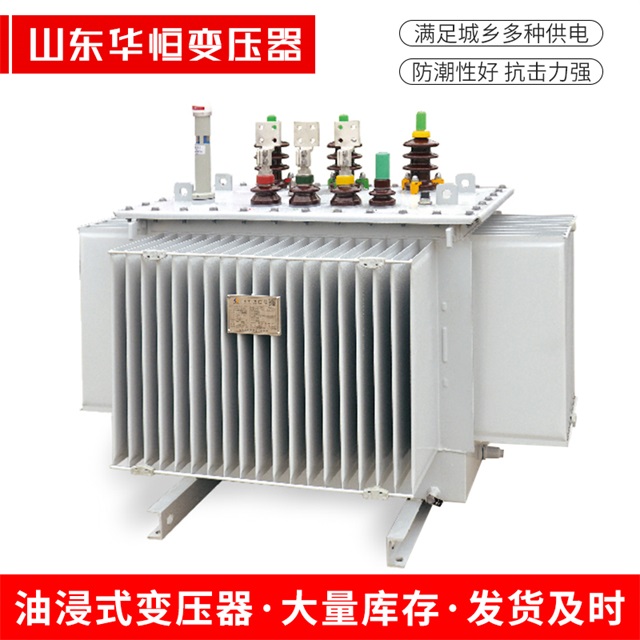 S13-10000/35沙市沙市沙市电力变压器